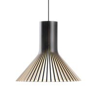 Secto Design Puncto Pendant Light | All Square Lighting