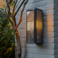 Annet N113 Wall Light