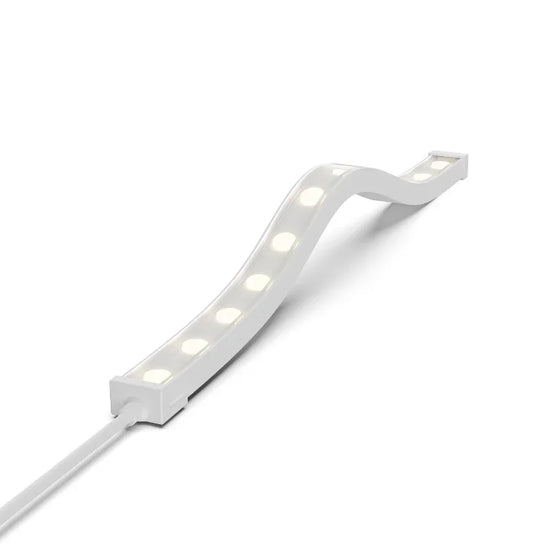 Continuity LT LED Neon Flex
