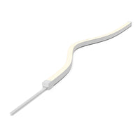 Continuity TM LED Neon Flex