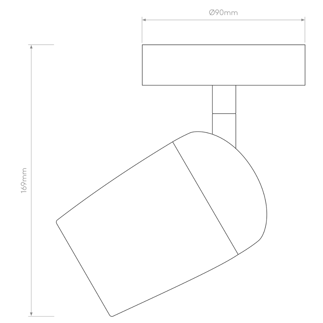 Kyoto Single Spotlight