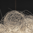 a-Emotional Light Blum Pendant Light | All Square Lighting