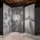 a-Emotional Light Fluo Pendant Light | All Square Lighting