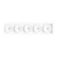 Arkoslight Black Foster 5 Downlight | All Square Lighting
