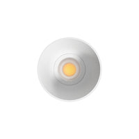 Arkoslight Buddy Trimless Downlight | All Square Lighting