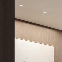 Arkoslight Buddy Wall Washer Downlight | All Square Lighting