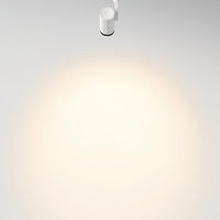 Arkoslight Plus 48V Track Spotlight | All Square Lighting