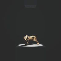 Arkoslight Shot Light Downlight | All Square Lighting