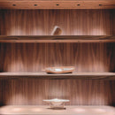 Arkoslight Shot Light Downlight | All Square Lighting