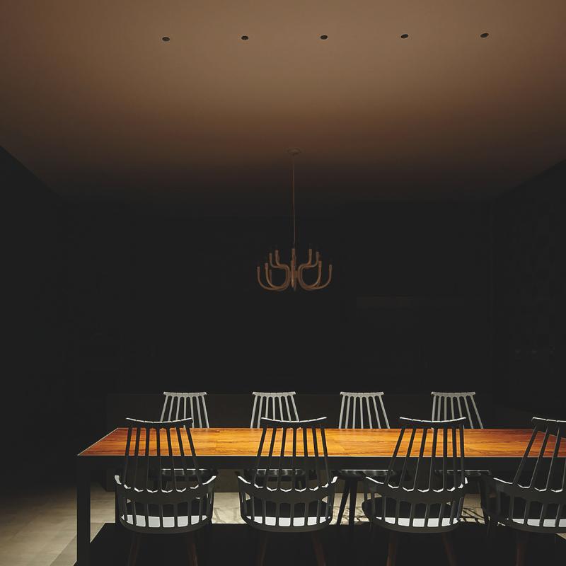 Arkoslight Shot Light Downlight | All Square Lighting