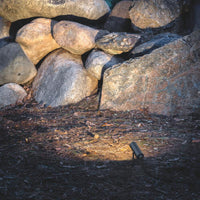 Arkoslight Skip Spike Light | All Square Lighting