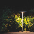 Arkoslight Yoru Spike Light | All Square Lighting