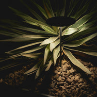 Arkoslight Yoru Spike Light | All Square Lighting