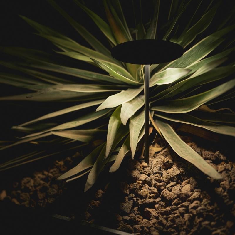 Arkoslight Yoru Spike Light | All Square Lighting