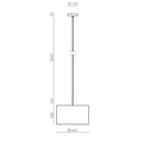 Aromas Del Campo Rems Pendant Light | All Square Lighting