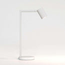 Astro Lighting Ascoli Desk Lamp | All Square Lighting