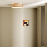 Astro Lighting Cambria 380 Ceiling Light | All Square Lighting