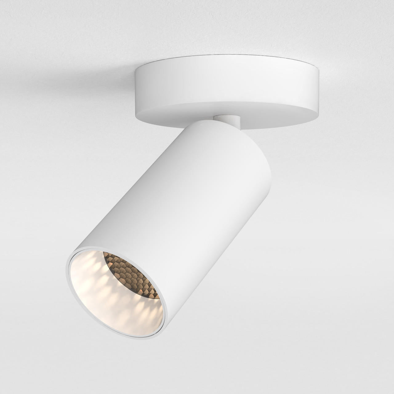 Can 50 Single Spotlight