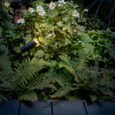 Astro Lighting Myos Spot Light | All Square Lighting