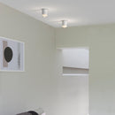 Astro Lighting Ottawa Ceiling Light | All Square Lighting