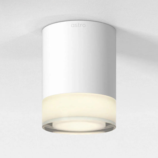 Ottawa Ceiling Light