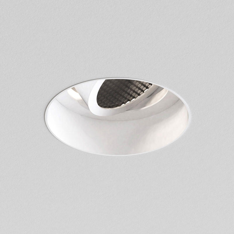 Trimless Round Adjustable Downlight