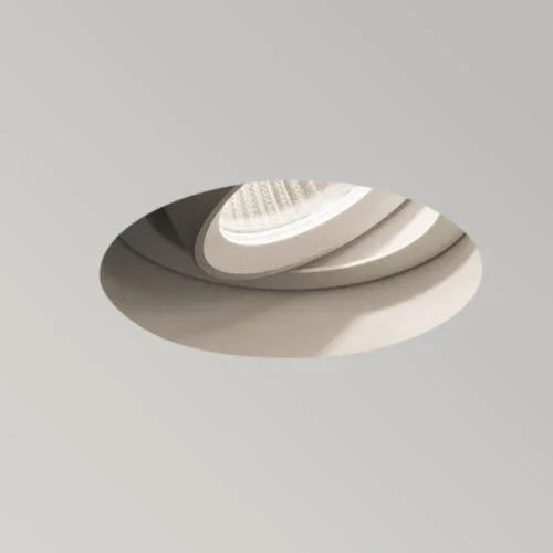 Trimless Round Adjustable LED Downlight