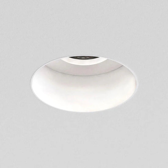 Trimless Round Fixed Downlight
