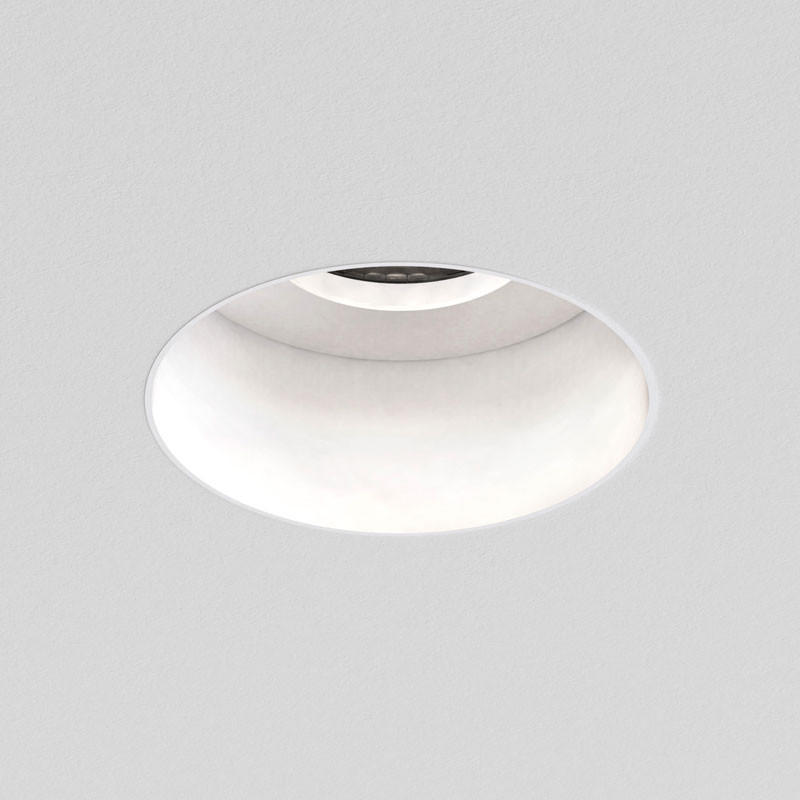 Trimless Round Fixed Downlight