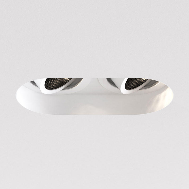 Trimless Round Twin Adjustable Downlight
