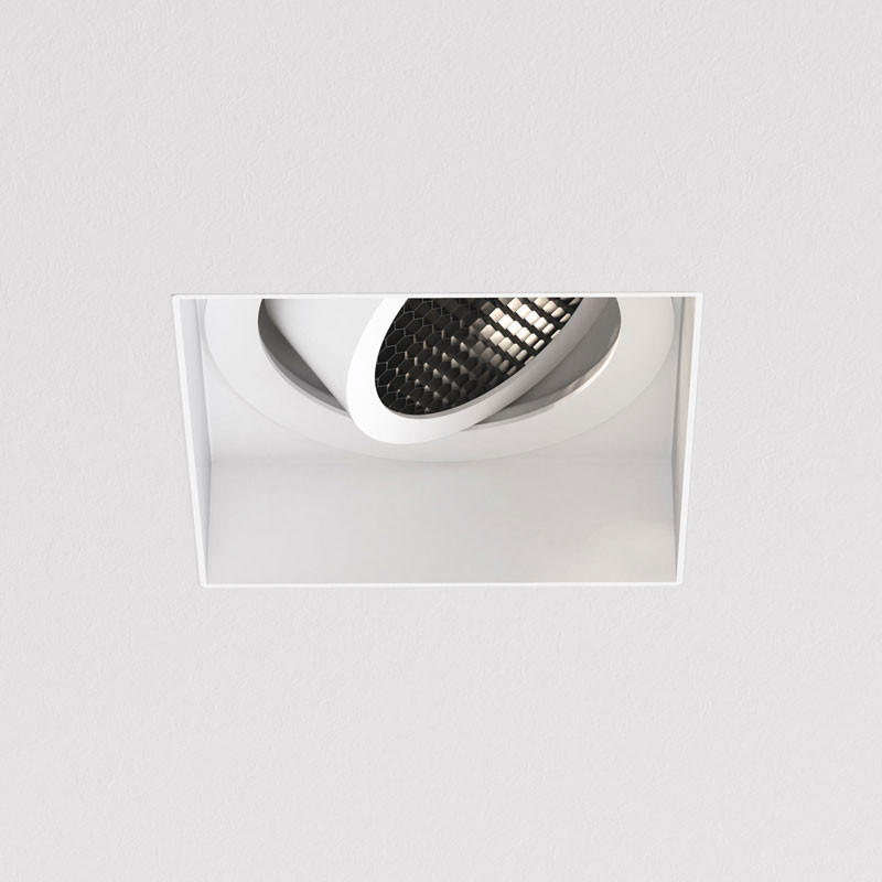 Trimless Square Adjustable Downlight