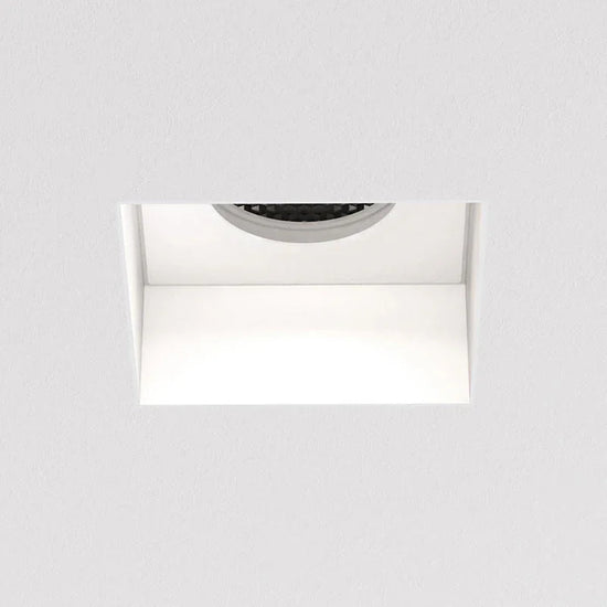 Trimless Square Fixed Downlight