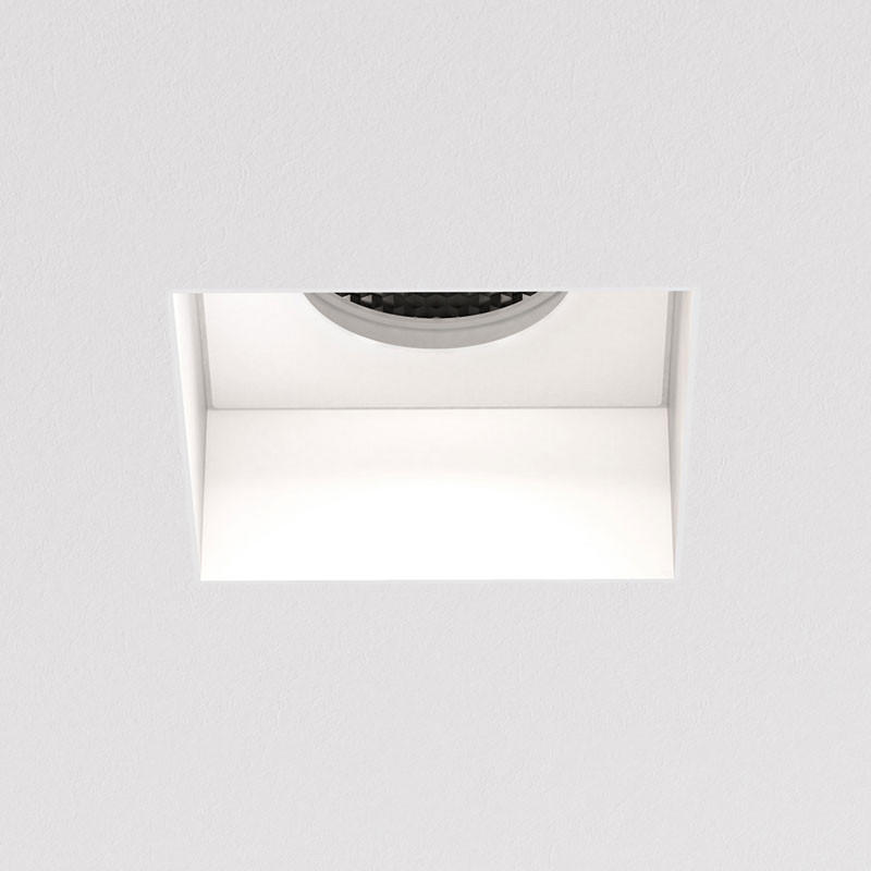 Trimless Square Fixed Downlight