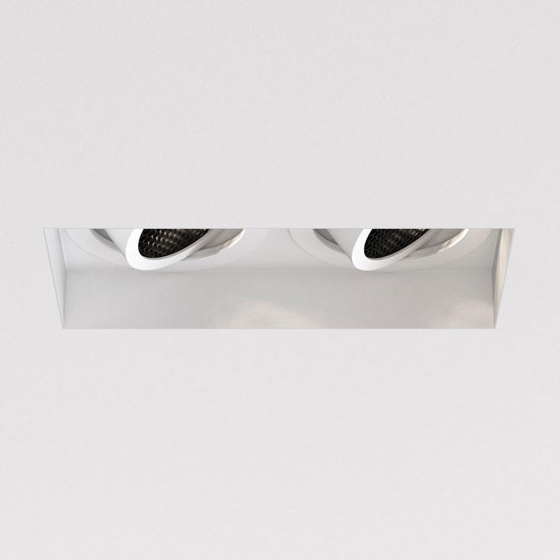 Trimless Square Twin Adjustable Downlight