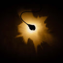 Catellani & Smith Luce Che Dipinge Wall Light | All Square Lighting
