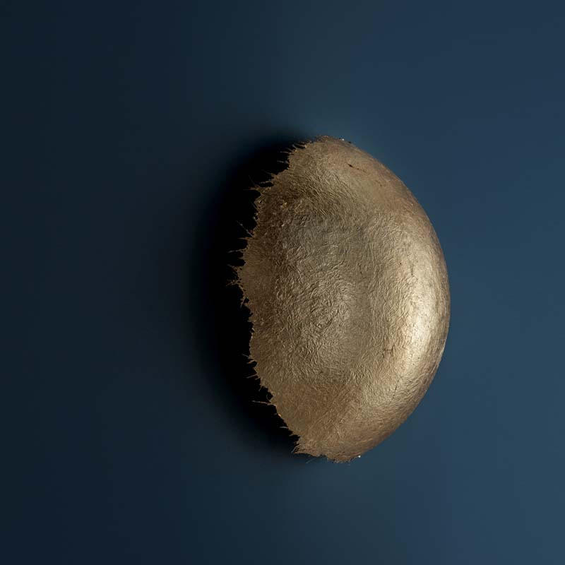 Catellani & Smith PostKrisi CW 70 Wall Light | All Square Lighting