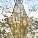 Catellani & Smith Shadow Floor Lamp | All Square Lighting
