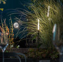 Catellani & Smith Syphasera Floor Lamp | All Square Lighting
