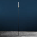 Catellani & Smith Syphasera Floor Lamp | All Square Lighting