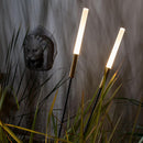Catellani & Smith Syphasera Floor Lamp | All Square Lighting