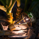 Catellani & Smith Trenta Table Lamp | All Square Lighting