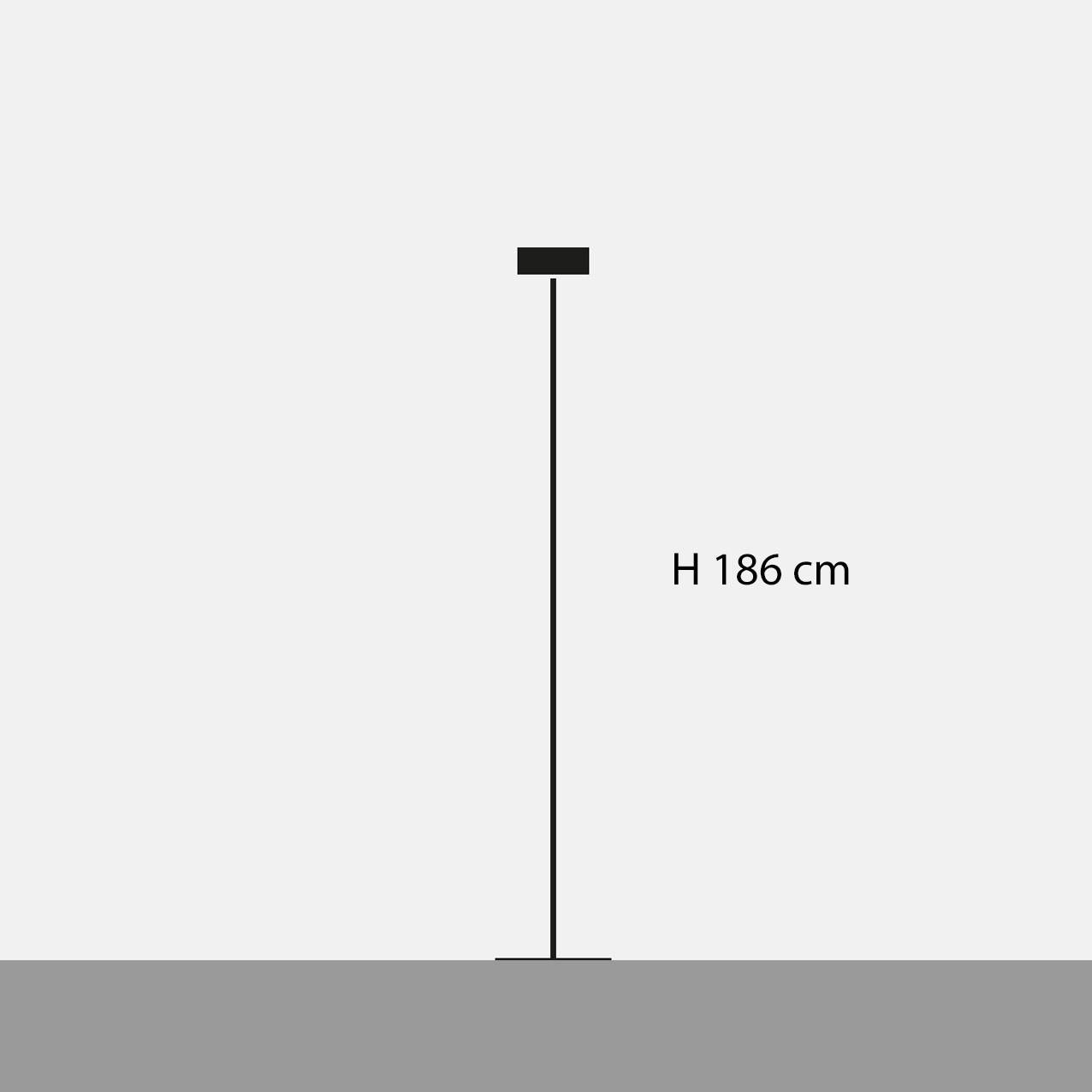 Catellani & Smith U.F Up Floor Lamp | All Square Lighting