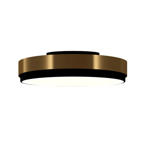 Discus Large Ceiling Light