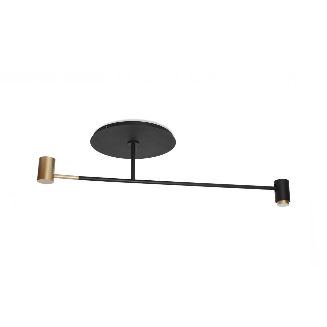 Melanocetus Ceiling Light