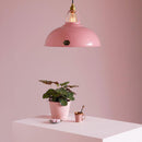 Coolicon Lighting Original 1933 Design Large "Contemporary Palette" Pendant Light | All Square Lighting