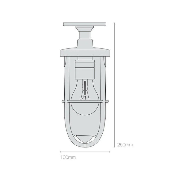 Ship’s Well Glass 7204 Ceiling Light