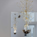 Davide Groppi Louis XIV 1 Pendant Light | All Square Lighting