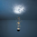 Davide Groppi Louis XIV 1 Pendant Light | All Square Lighting
