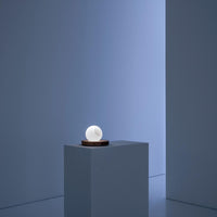 Davide Groppi Pigreco Table Lamp | All Square Lighting