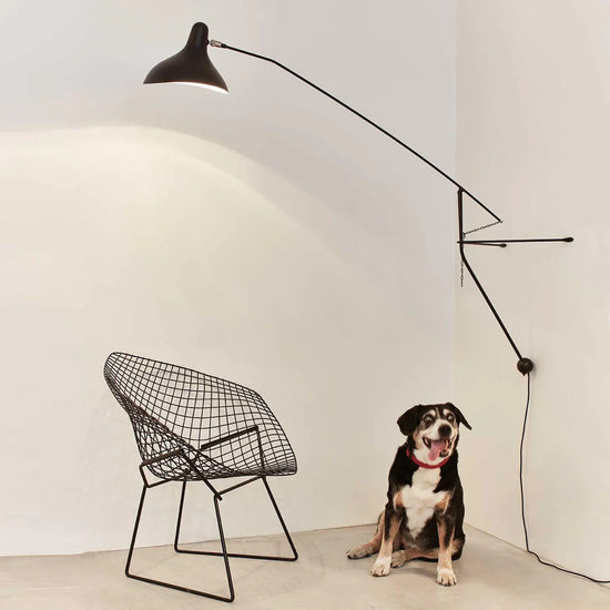 Mantis BS2 Wall Light
